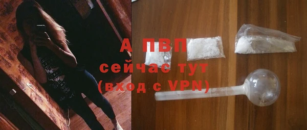 бошки Белокуриха