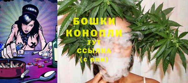 бошки Белокуриха