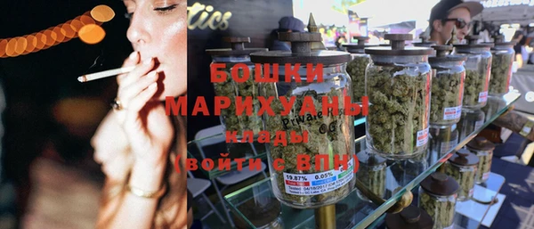 бошки Белокуриха
