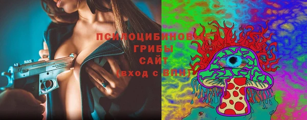 ГАЛЛЮЦИНОГЕННЫЕ ГРИБЫ Богородицк